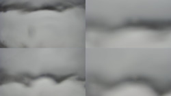 Sdružený snímek Bludný