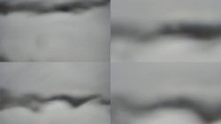 Sdružený snímek Bludný