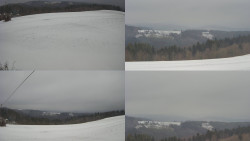 Sdružený snímek Bludný