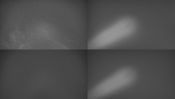 Sdružený snímek Bludný