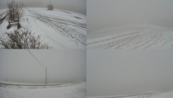 Sdružený snímek Bludný