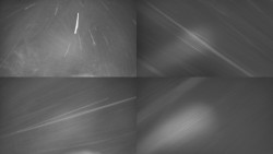 Sdružený snímek Bludný