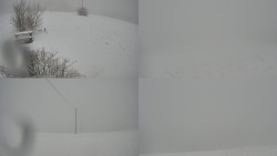 Sdružený snímek Bludný