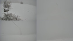 Sdružený snímek Bludný