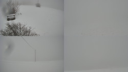 Sdružený snímek Bludný