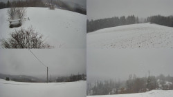 Sdružený snímek Bludný