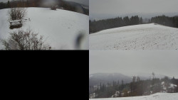 Sdružený snímek Bludný