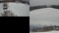 Sdružený snímek Bludný