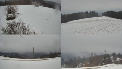 Sdružený snímek Bludný