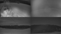 Sdružený snímek Bludný