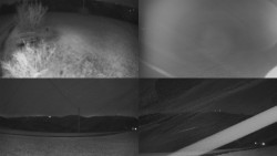 Sdružený snímek Bludný