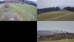 Sdružený snímek Bludný