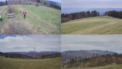 Sdružený snímek Bludný