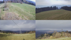 Sdružený snímek Bludný