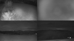 Sdružený snímek Bludný