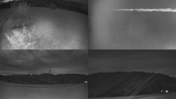 Sdružený snímek Bludný