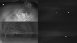 Sdružený snímek Bludný