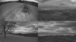 Sdružený snímek Bludný