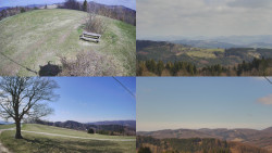 Sdružený snímek Bludný