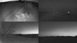 Sdružený snímek Bludný