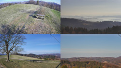 Sdružený snímek Bludný