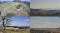 Sdružený snímek Bludný