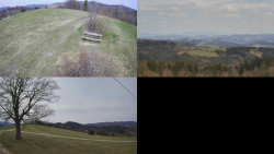 Sdružený snímek Bludný