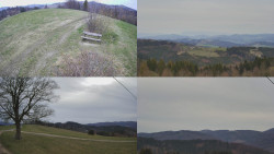 Sdružený snímek Bludný