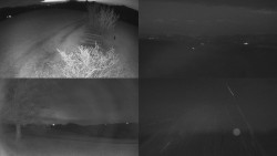 Sdružený snímek Bludný