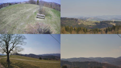 Sdružený snímek Bludný