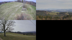 Sdružený snímek Bludný