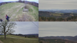 Sdružený snímek Bludný