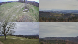 Sdružený snímek Bludný