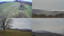 Sdružený snímek Bludný