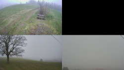 Sdružený snímek Bludný