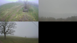 Sdružený snímek Bludný