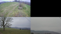 Sdružený snímek Bludný