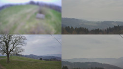 Sdružený snímek Bludný