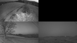 Sdružený snímek Bludný