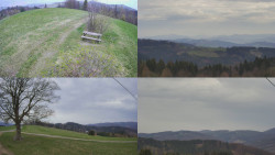 Sdružený snímek Bludný