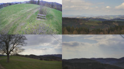 Sdružený snímek Bludný