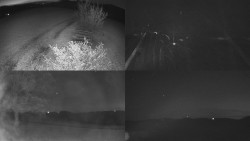 Sdružený snímek Bludný