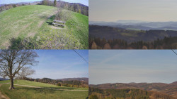 Sdružený snímek Bludný