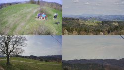 Sdružený snímek Bludný