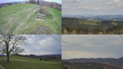 Sdružený snímek Bludný