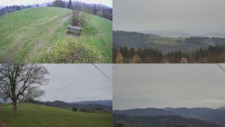 Sdružený snímek Bludný