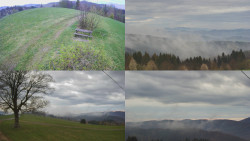 Sdružený snímek Bludný