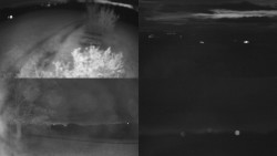 Sdružený snímek Bludný