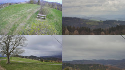 Sdružený snímek Bludný