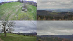 Sdružený snímek Bludný